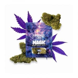 MAGIC VIOLET FLEUR NXT+ 3GR (Copie)