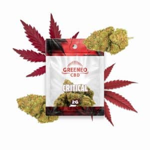 Critical – 2g – 13% CBD - Greeneo