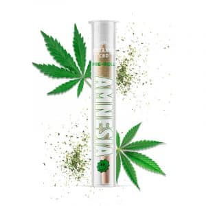 Pre-roll CBD Amnesia – 1g – 13% Greeneo